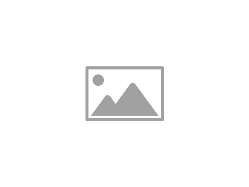 Lot 15
