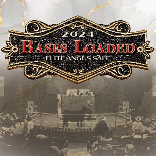 Bases 2024 Cotton Associates   Bases 2024 